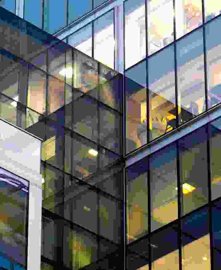 Golbal Nexuss Assets